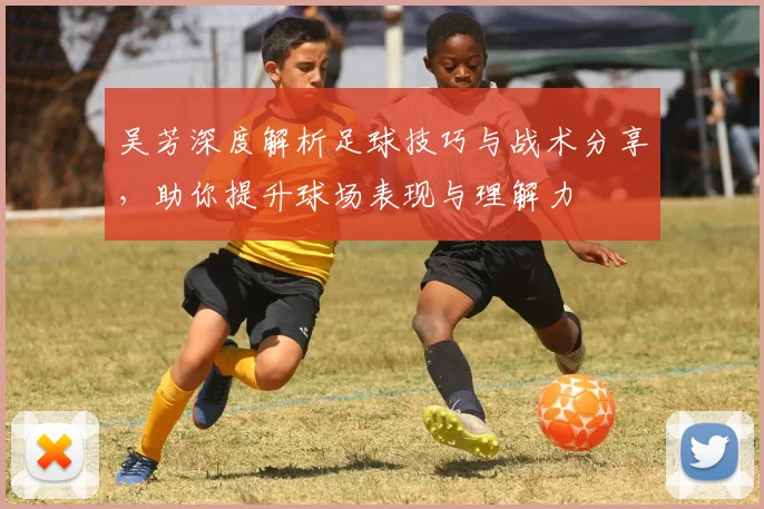 吴芳深度解析足球技巧与战术分享，助你提升球场表现与理解力