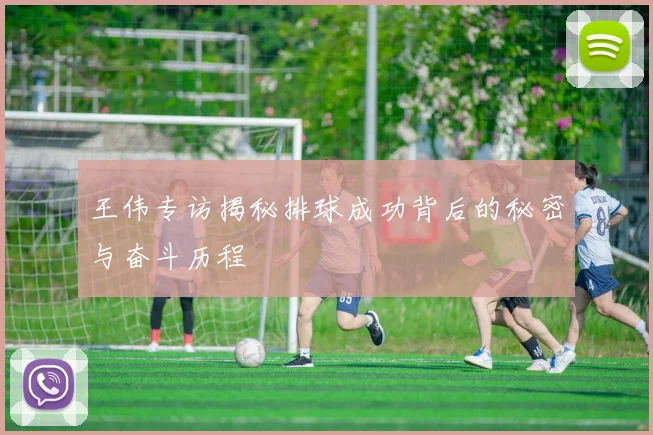 王伟专访揭秘排球成功背后的秘密与奋斗历程