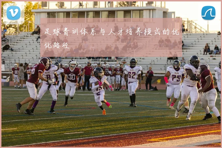 足球青训体系与人才培养模式的优化路径